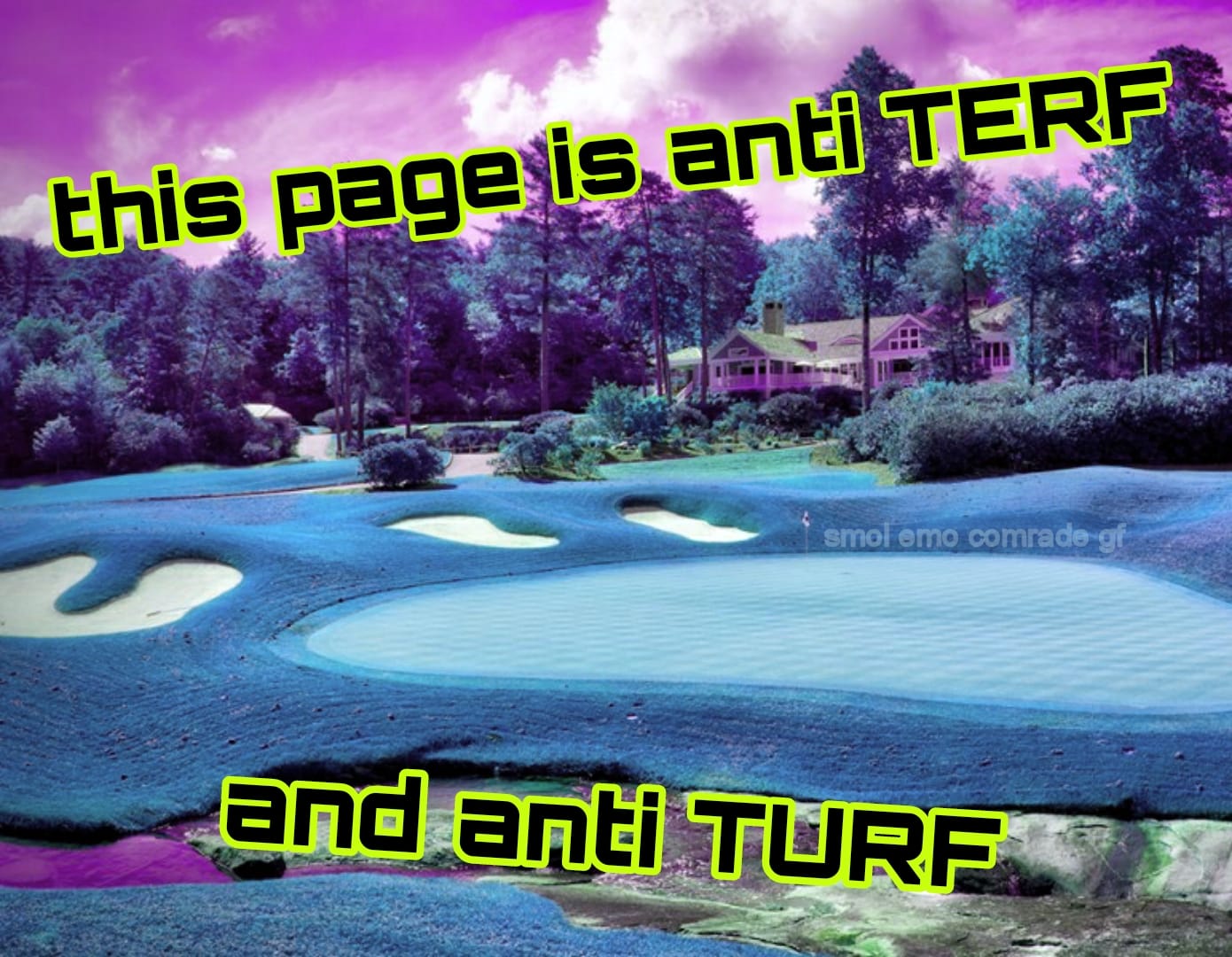 This meme is a screenshot of a golf course, but it's been manipulated to look like it's underwater, with a blue-green tint and seaweed-like plants. The text overlayed on the image reads "this page is anti TERF and anti TURF" in a bold, futuristic font. The meme is likely referencing the online communities that have been accused of being anti-TERF (trans-exclusionary radical feminist) and anti-TURF (trans-exclusionary radical feminist) in their online discussions.